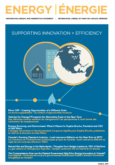 Issue 3, 2015 Cover