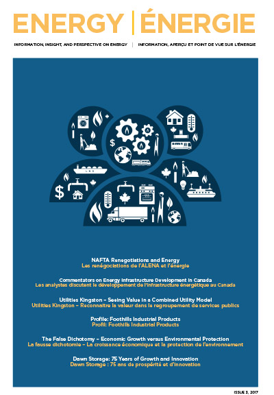 Issue 3, 2017 Cover